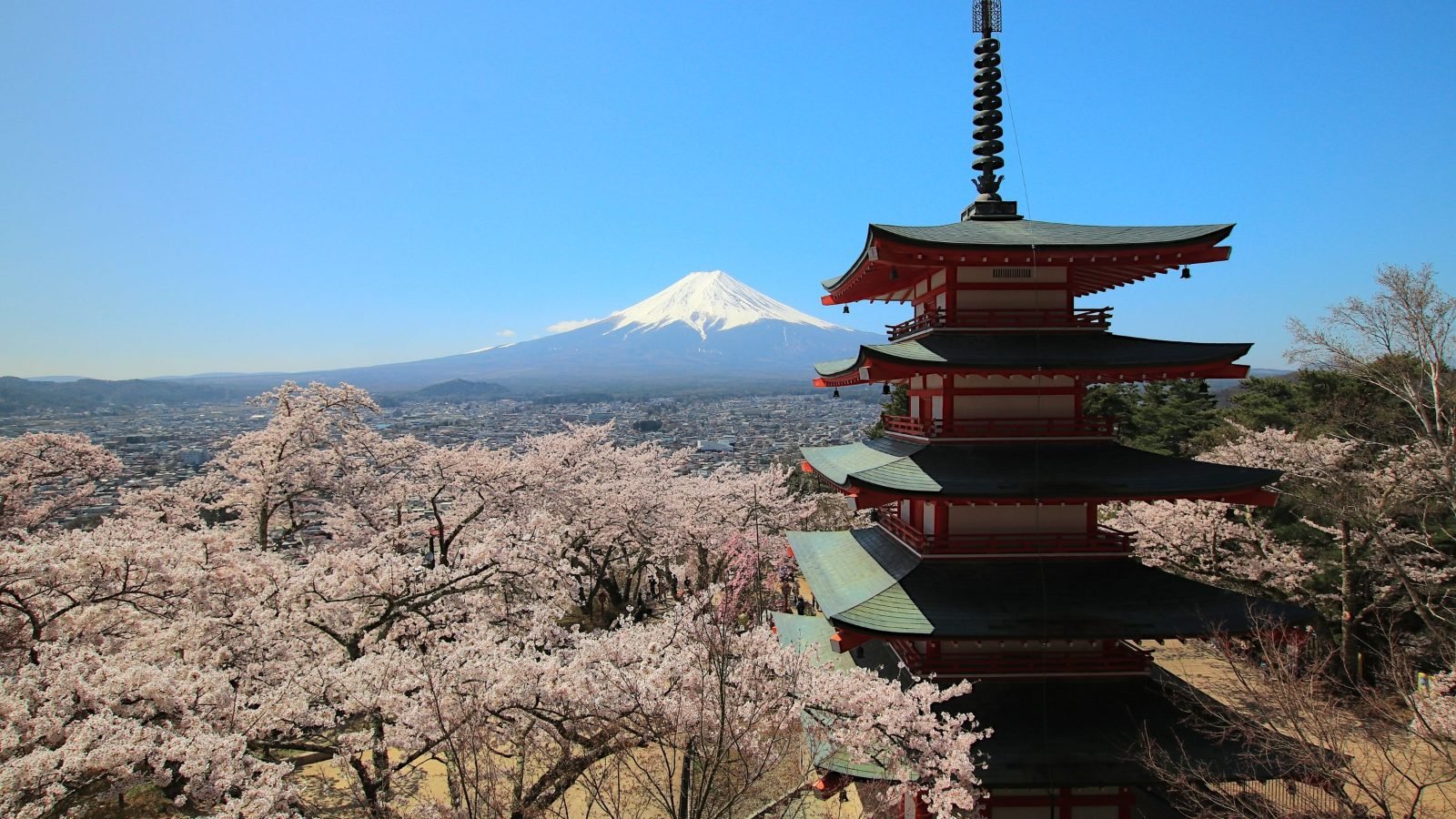 One-Year International Program in Hospitality from Thailand + Paid Internship in Japan up to 5 Years